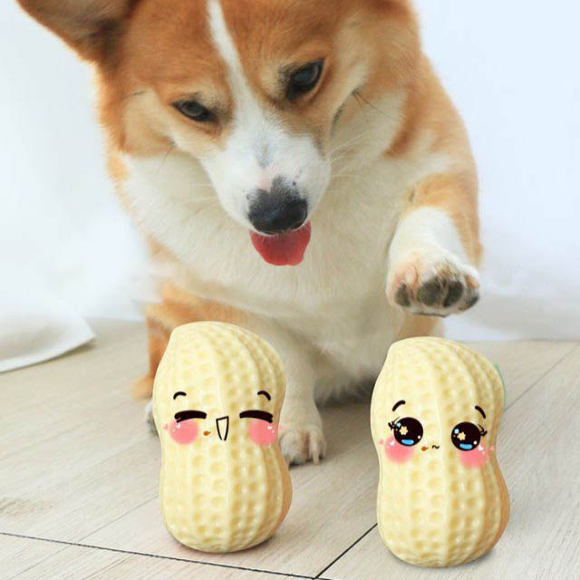 The Ultimate Fun for Your Furry Friend: Funny Squeaky Bite-Resistant Dog Toy