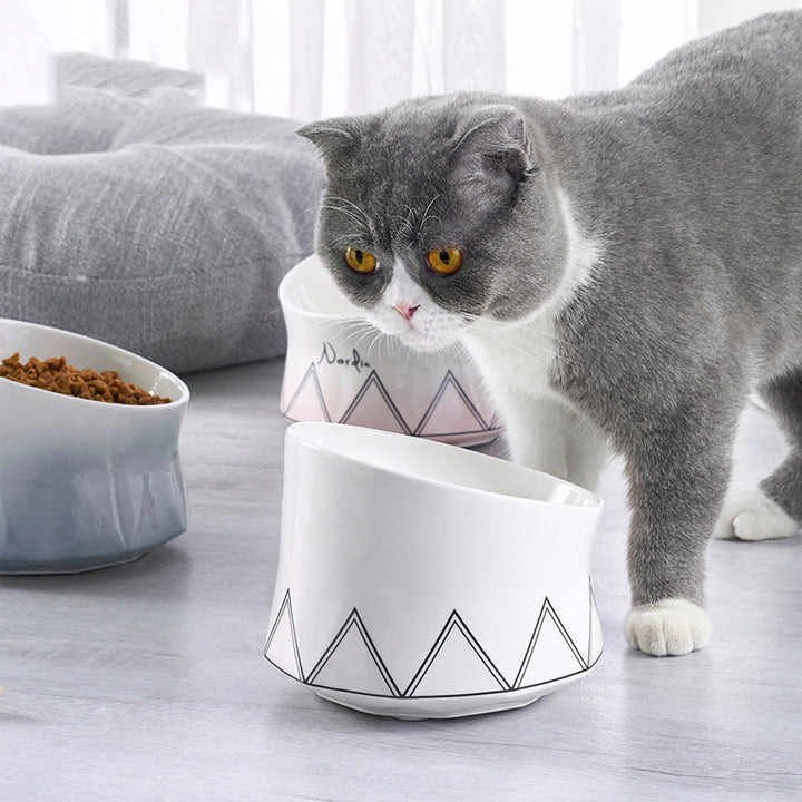 Why Your Cat Deserves the Best: The Ceramic Pet Cat Bowl