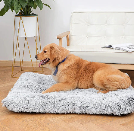 Plush Memory Foam Square Pet Bed