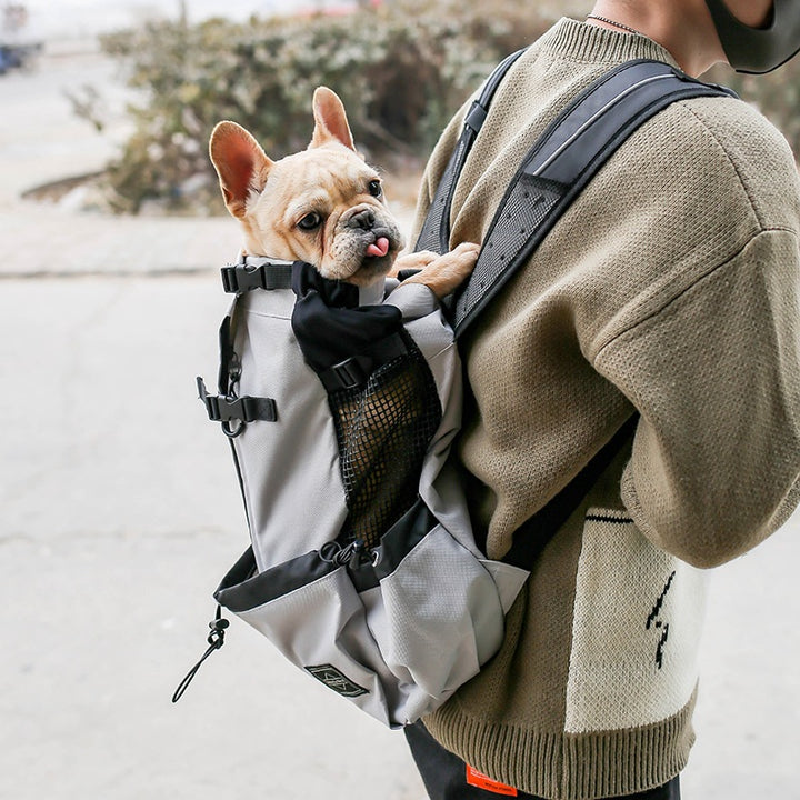 Portable Dog & Cat Travel Backpack Carrier