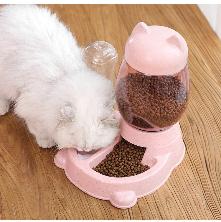 Automatic Pet Food & Water Feeder