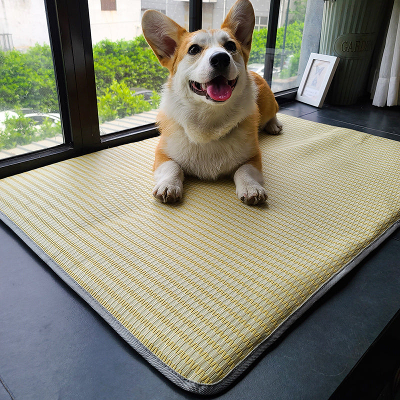 Summer Anti-Bite Pet Cooling Mat