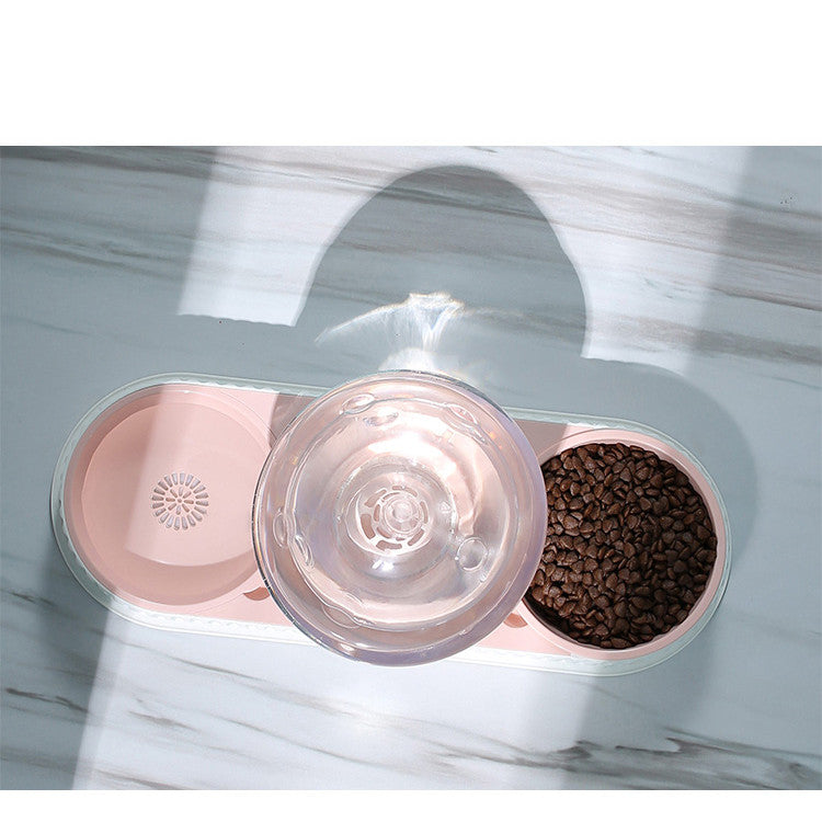 Automatic Pet Feeding & Water Bowl