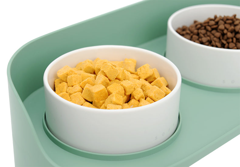 Double Ceramic Pet Feeding Bowl