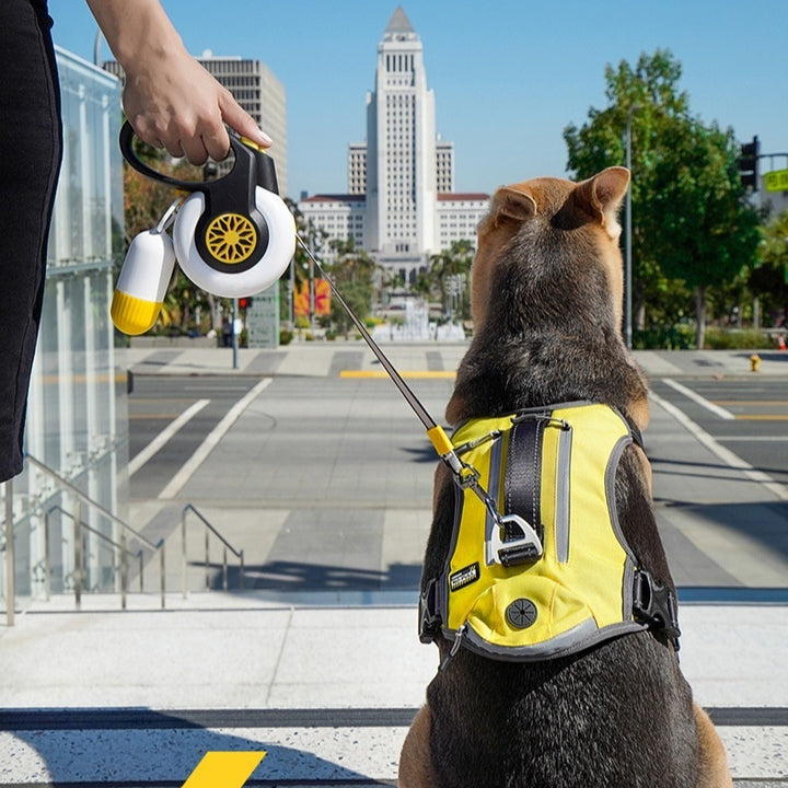 Dog Anti Pull Automatic Retractable Leash Auto Retracting