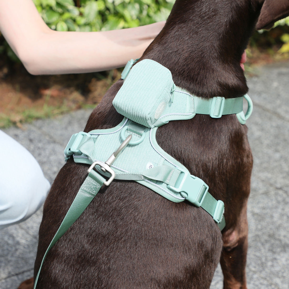 Explosion-Proof Dog Vest with Leash