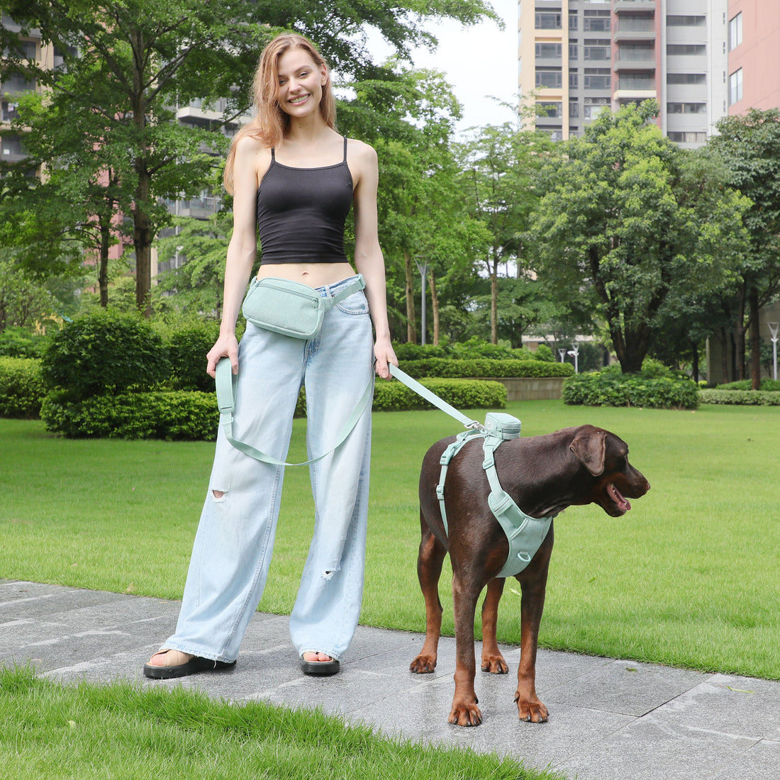 Explosion-Proof Dog Vest with Leash