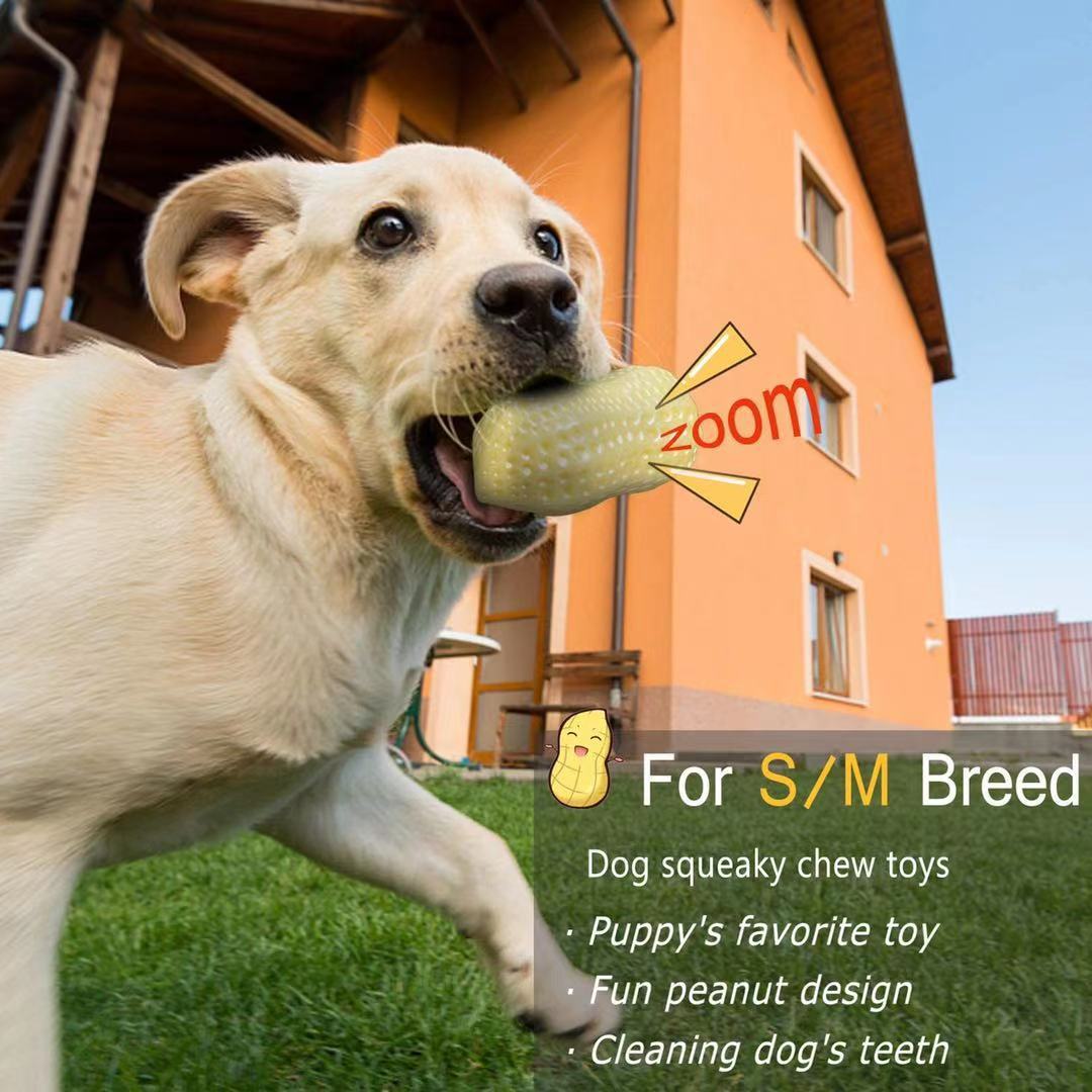 Funny Squeaky Bite-Resistant Dog Toy