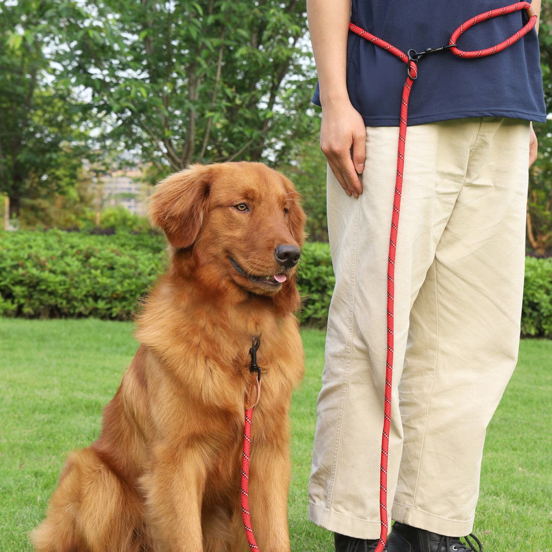 Adjustable Reflective Pet Leash Rope