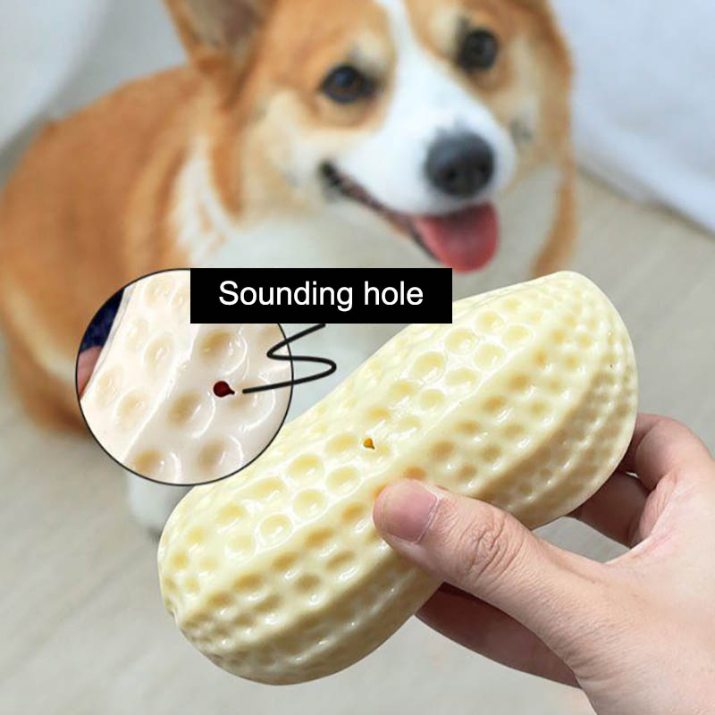Funny Squeaky Bite-Resistant Dog Toy