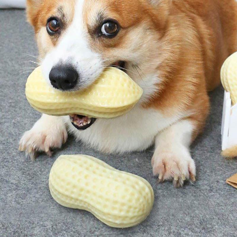 Funny Squeaky Bite-Resistant Dog Toy