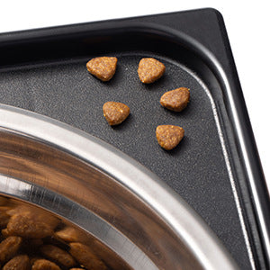 Elevated Anti-Tip Pet Feeding Bowl