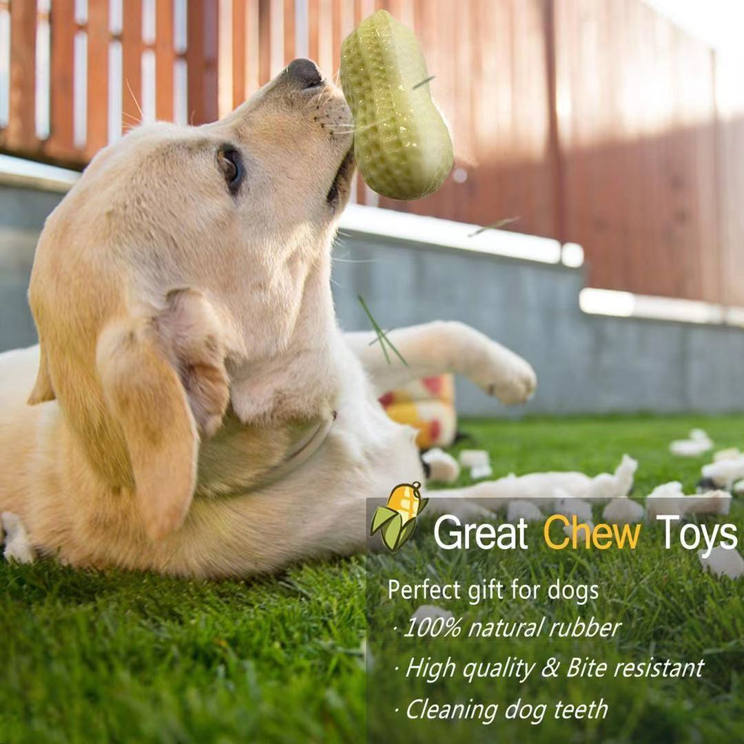 Funny Squeaky Bite-Resistant Dog Toy