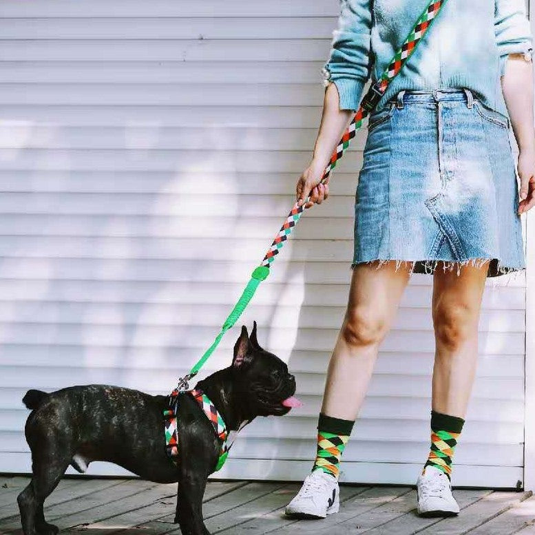 Multifunctional Pet Traction Walking Rope