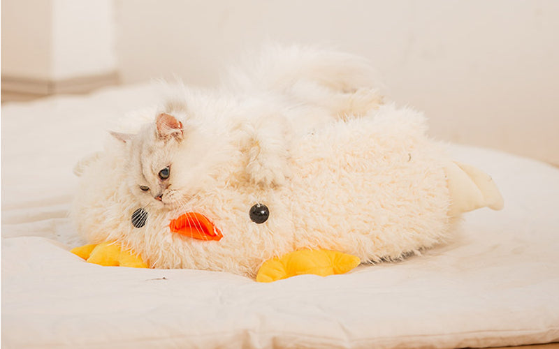 Warm Winter Cat Nest