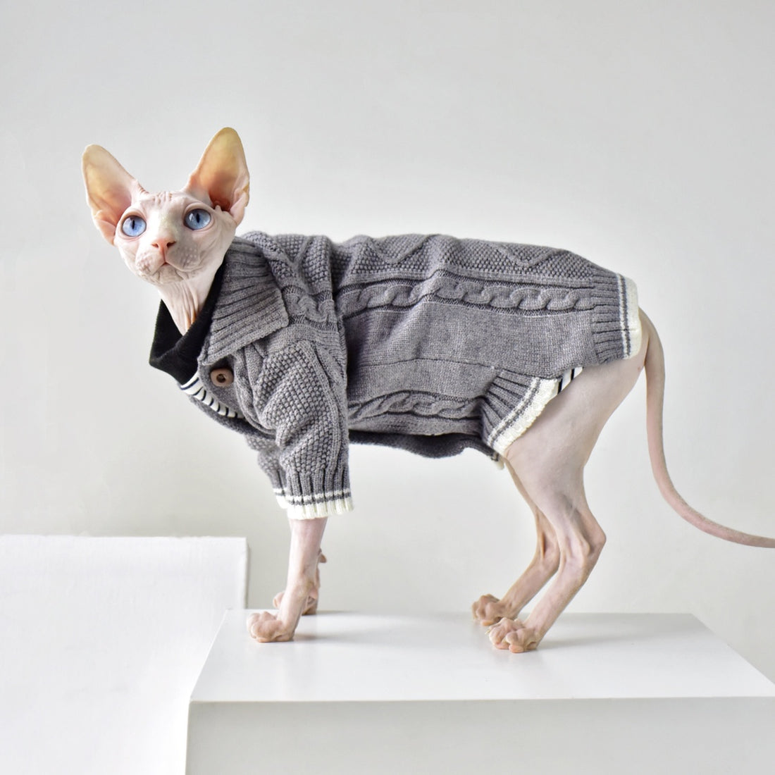 Four Seasons Warm Cat Sweater