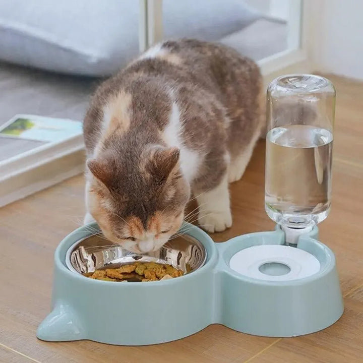 Automatic Pet Food & Water Dispenser