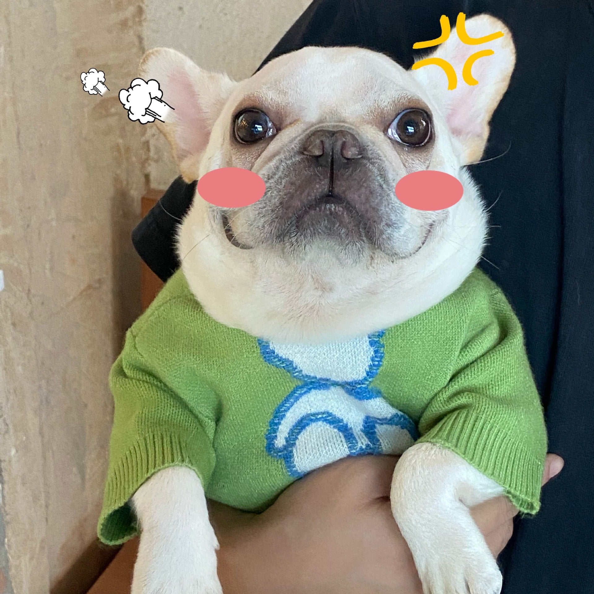 Pet Clothes Dog Cat Puppy Fall Winter Sweater